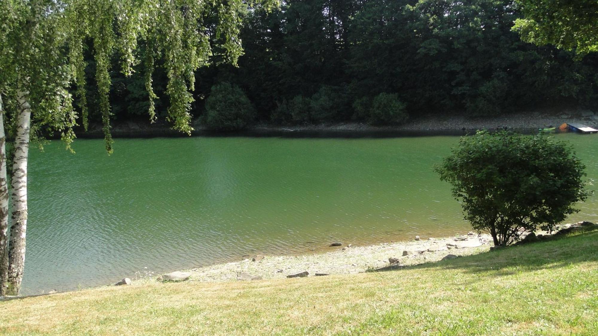 Maison Lac de Pareloup -LES PIEDS DANS L'EAU- Arvieu Extérieur photo